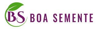 CEBS – Centro de Estudos Boa Semente